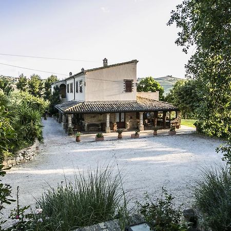 Agriturismo Col Morino Bed and Breakfast Pineto Exteriör bild