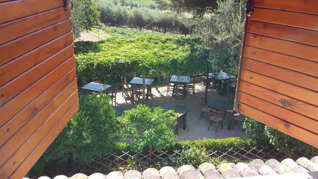 Agriturismo Col Morino Bed and Breakfast Pineto Rum bild