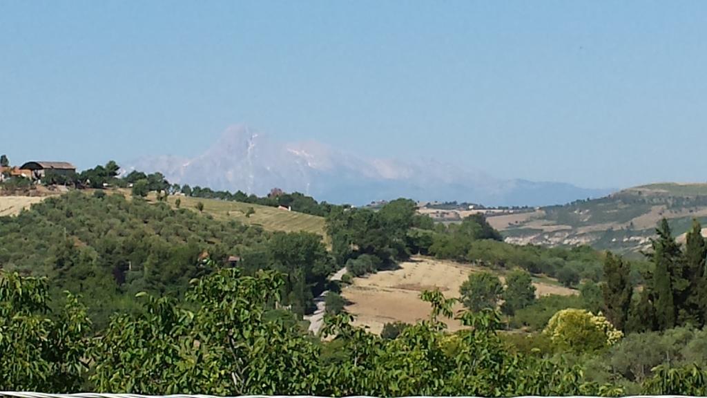 Agriturismo Col Morino Bed and Breakfast Pineto Rum bild
